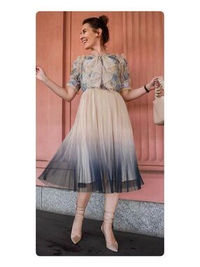 Chicwish
We Know It All Gradient Pleated Mesh Tulle Dress